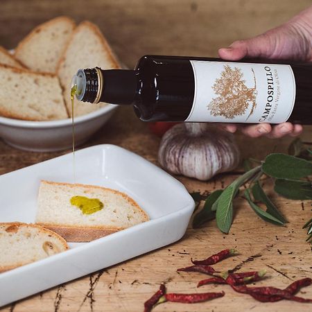 Tenuta Campospillo Magliano in Toscana Eksteriør billede