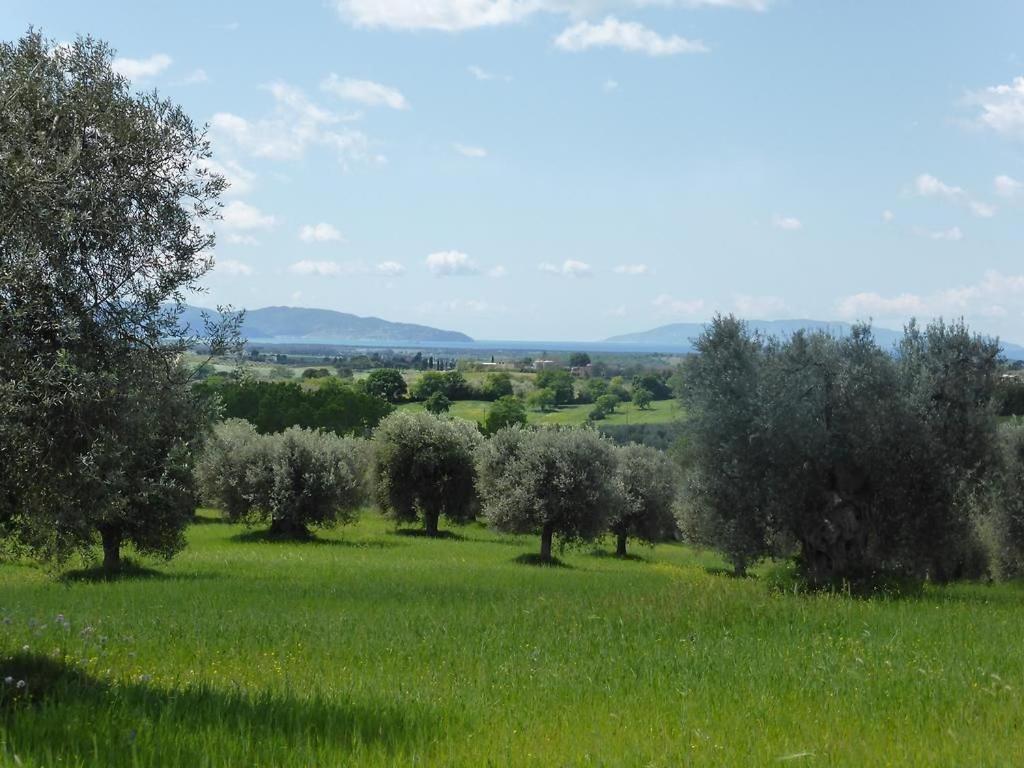 Tenuta Campospillo Magliano in Toscana Eksteriør billede