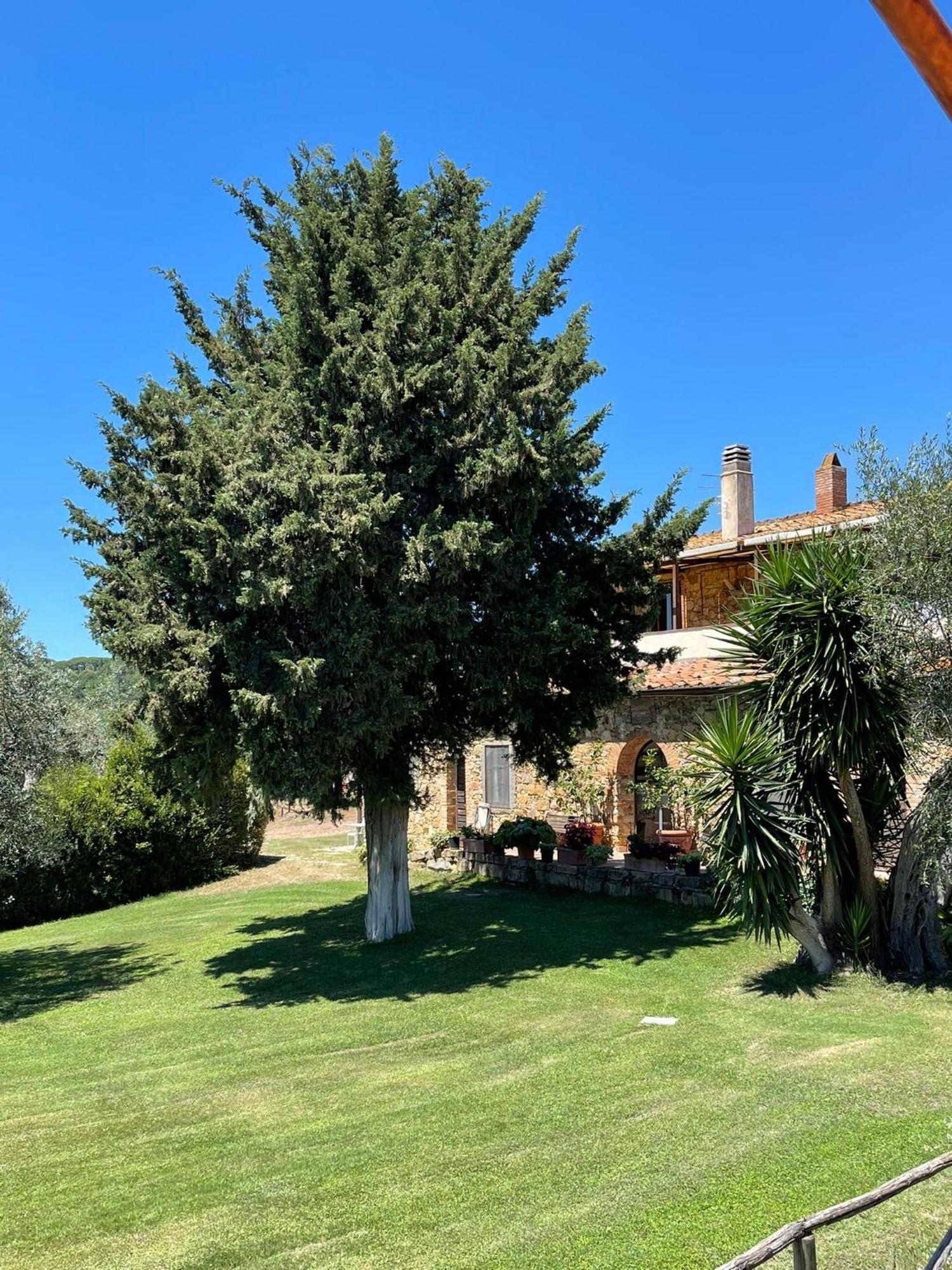 Tenuta Campospillo Magliano in Toscana Eksteriør billede